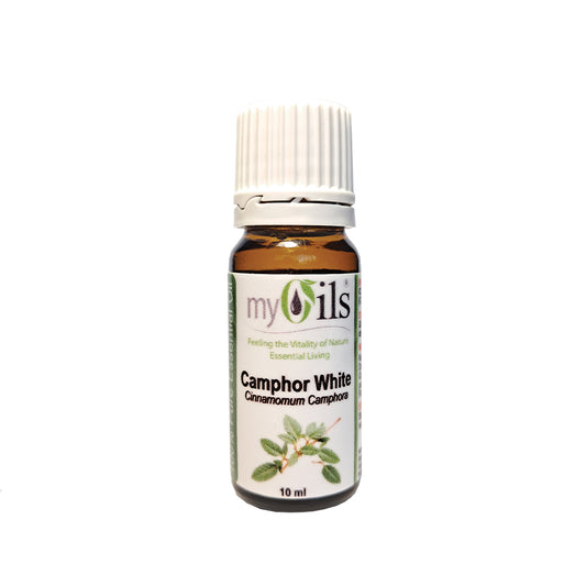 Camphor White Essential Oil - 10ml