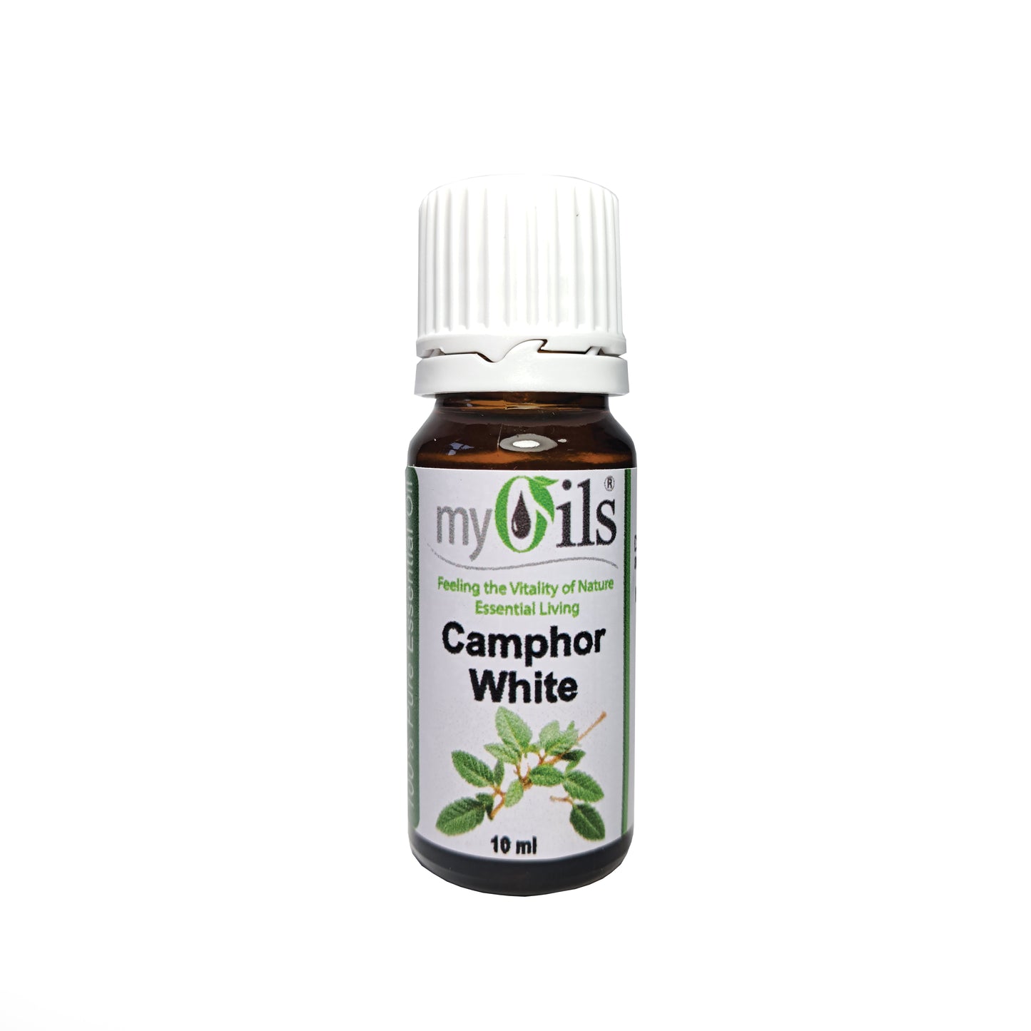 Camphor White Essential Oil - 10ml