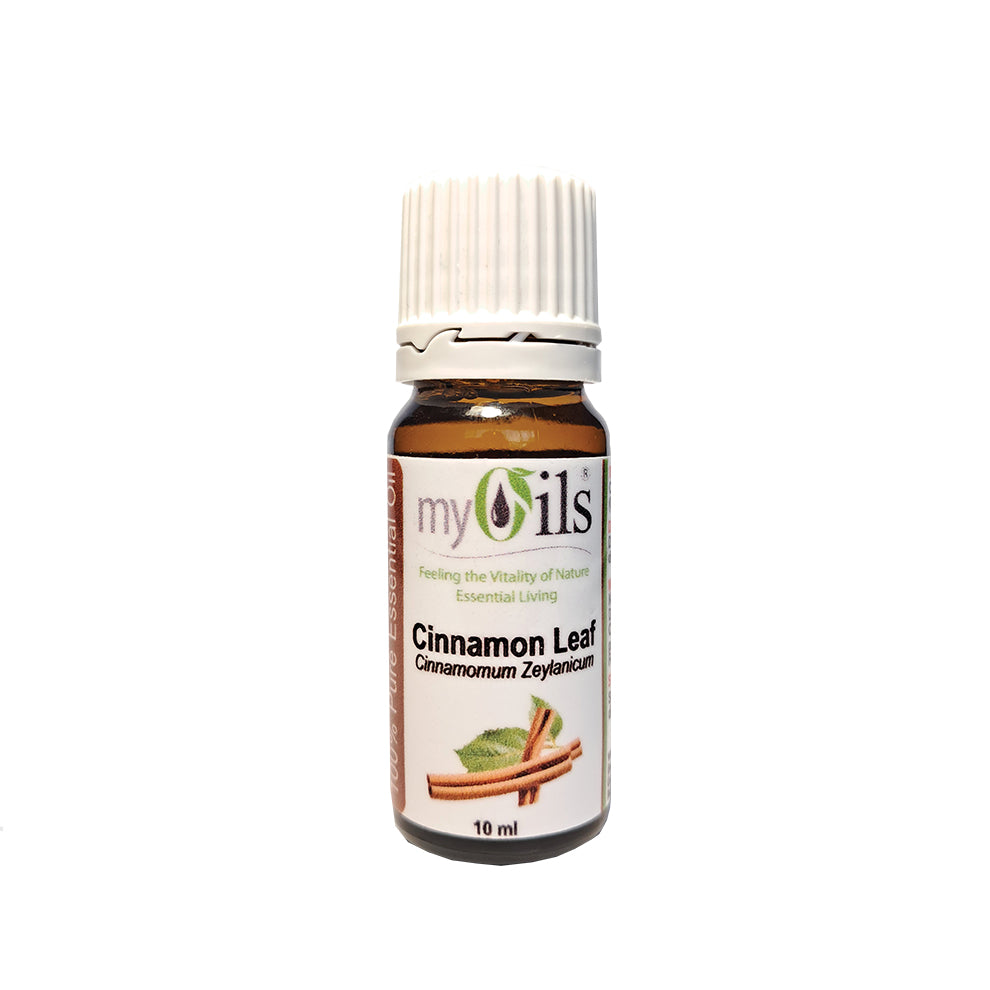 Cinnamon Leaf Essential Oil - 10ml