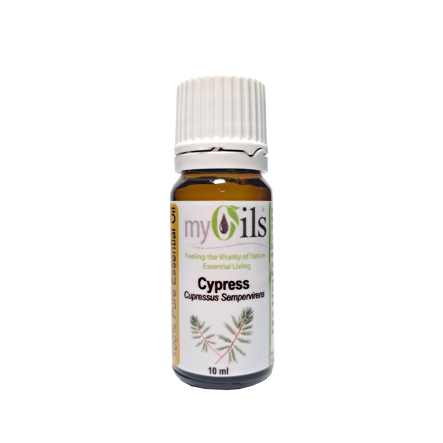 Cypress Essential Oil - 10ml