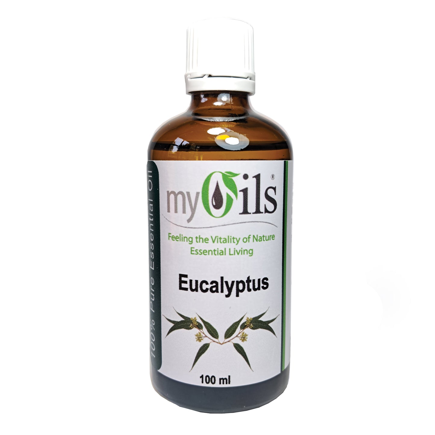 Eucalyptus Essential Oil - 100ml