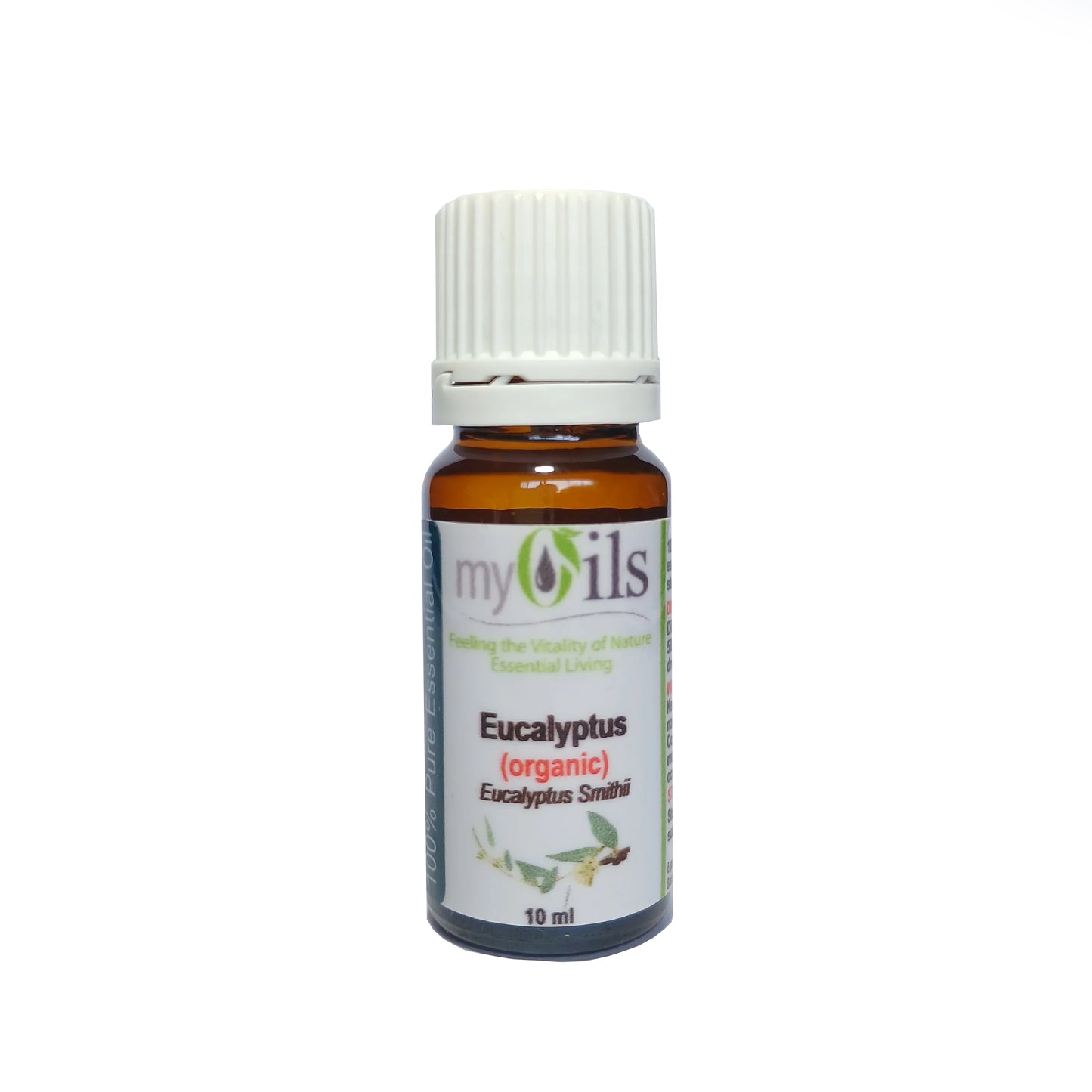 Eucalyptus Smithii (Organic) Essential Oil - 10ml