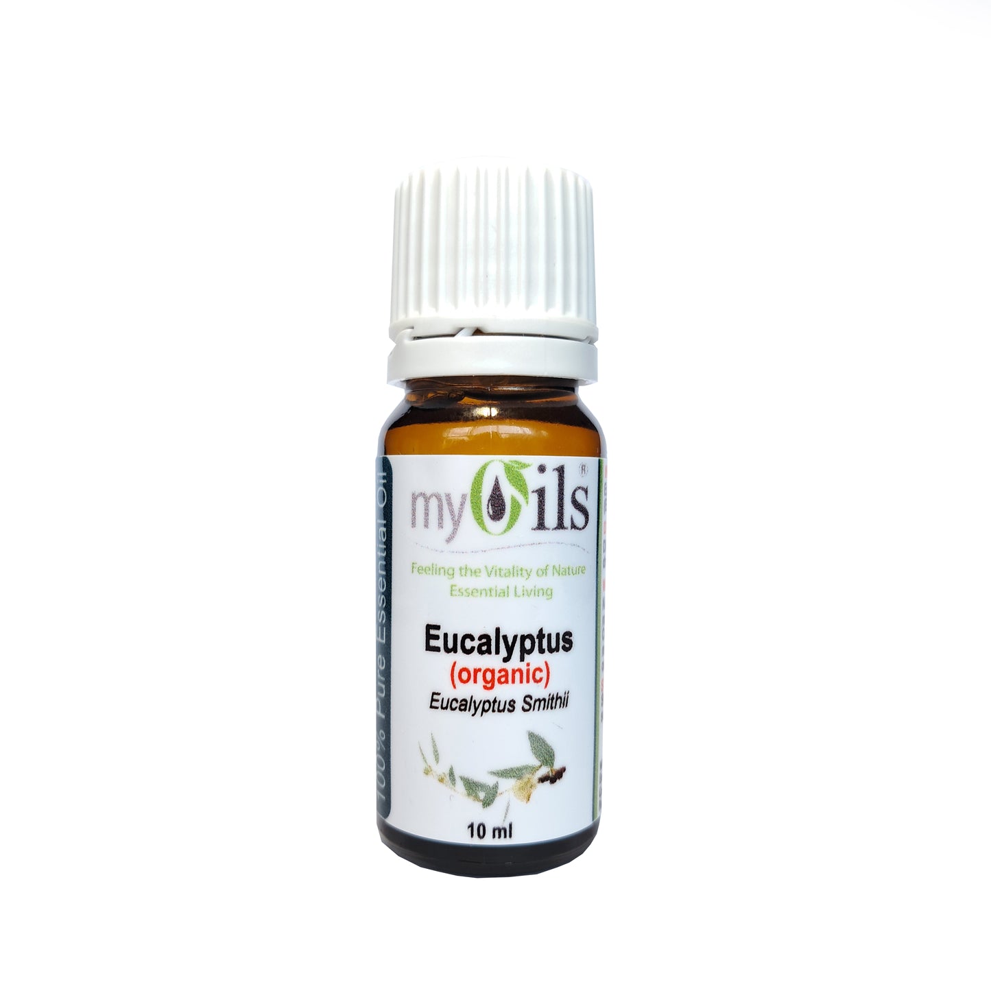 Eucalyptus Smithii (Organic) Essential Oil - 10ml