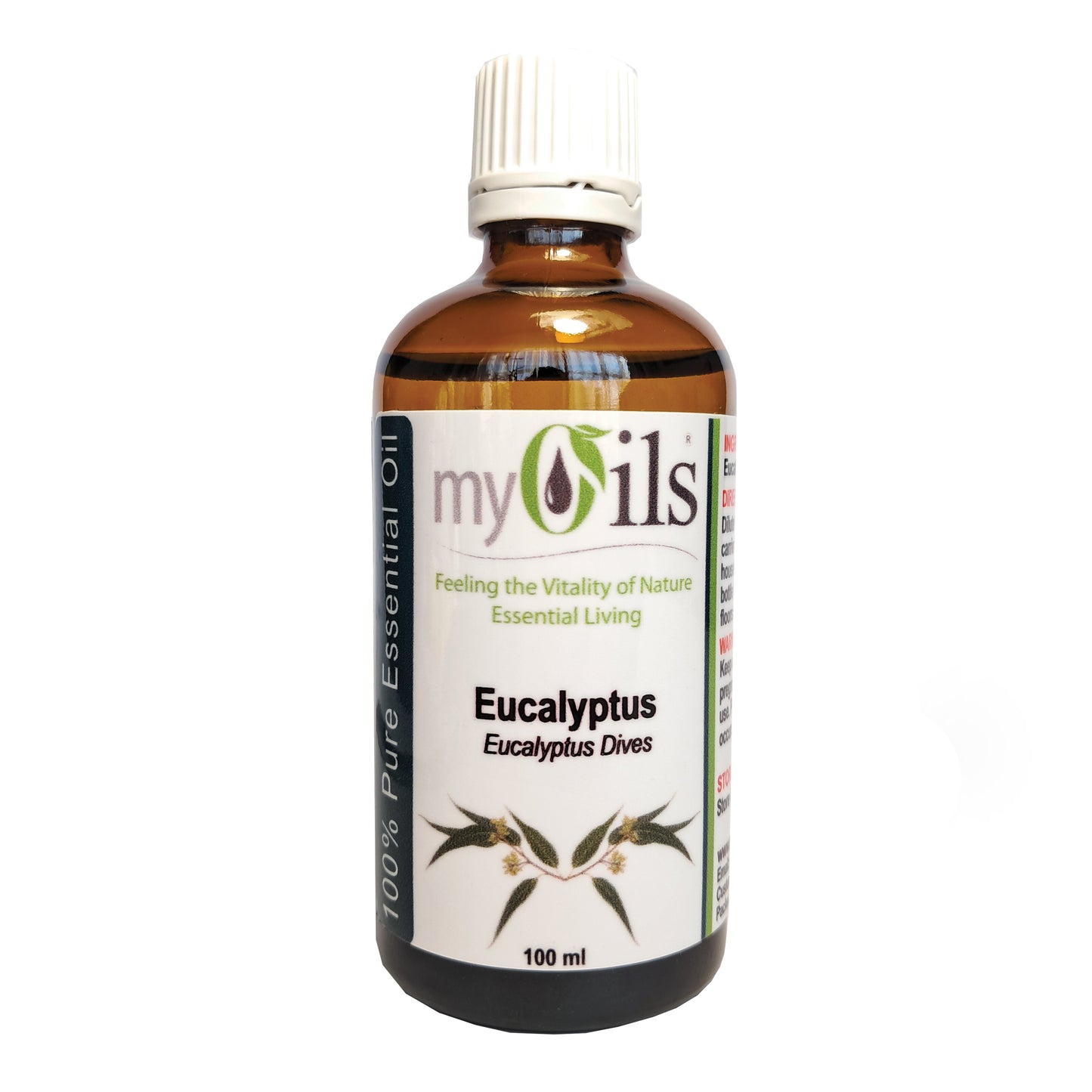 Eucalyptus Dives Essential Oil - 100ml