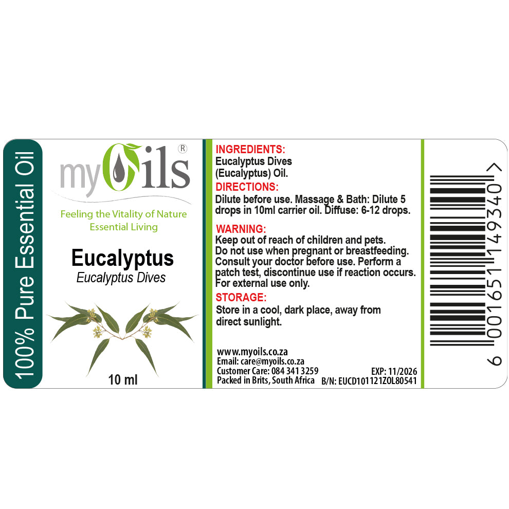 Eucalyptus Dives Essential Oil - 10ml