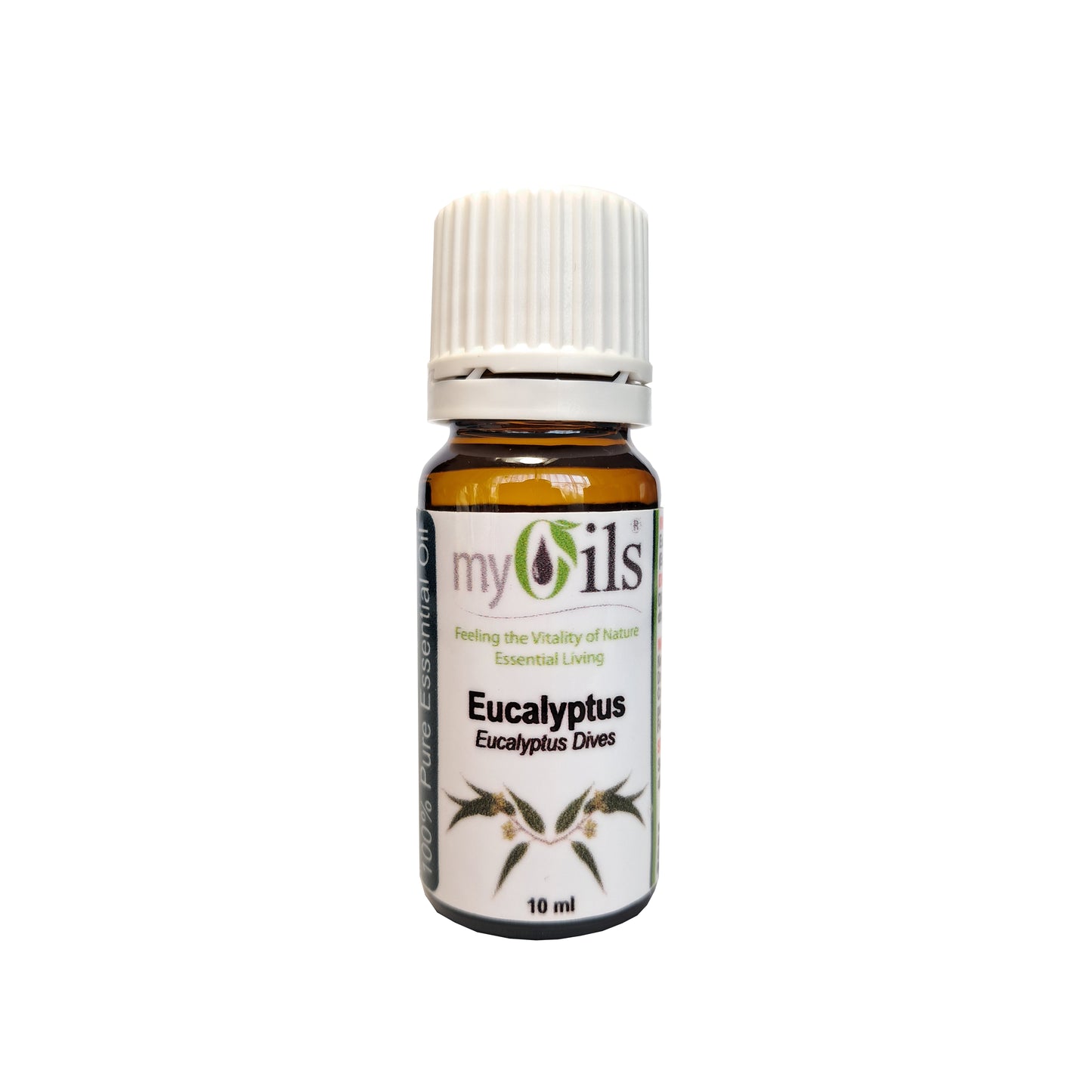 Eucalyptus Dives Essential Oil - 10ml