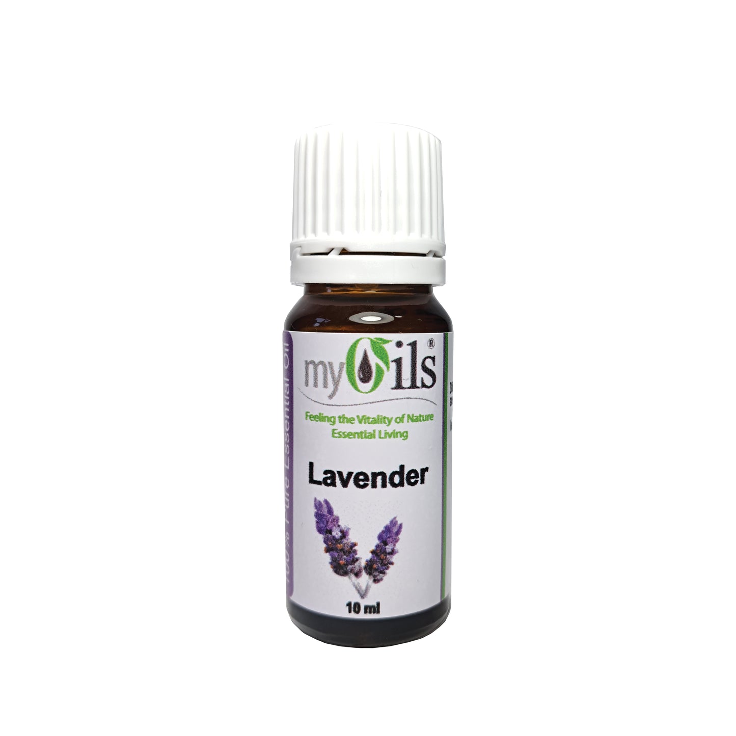 Lavender Essential Oil - 10ml