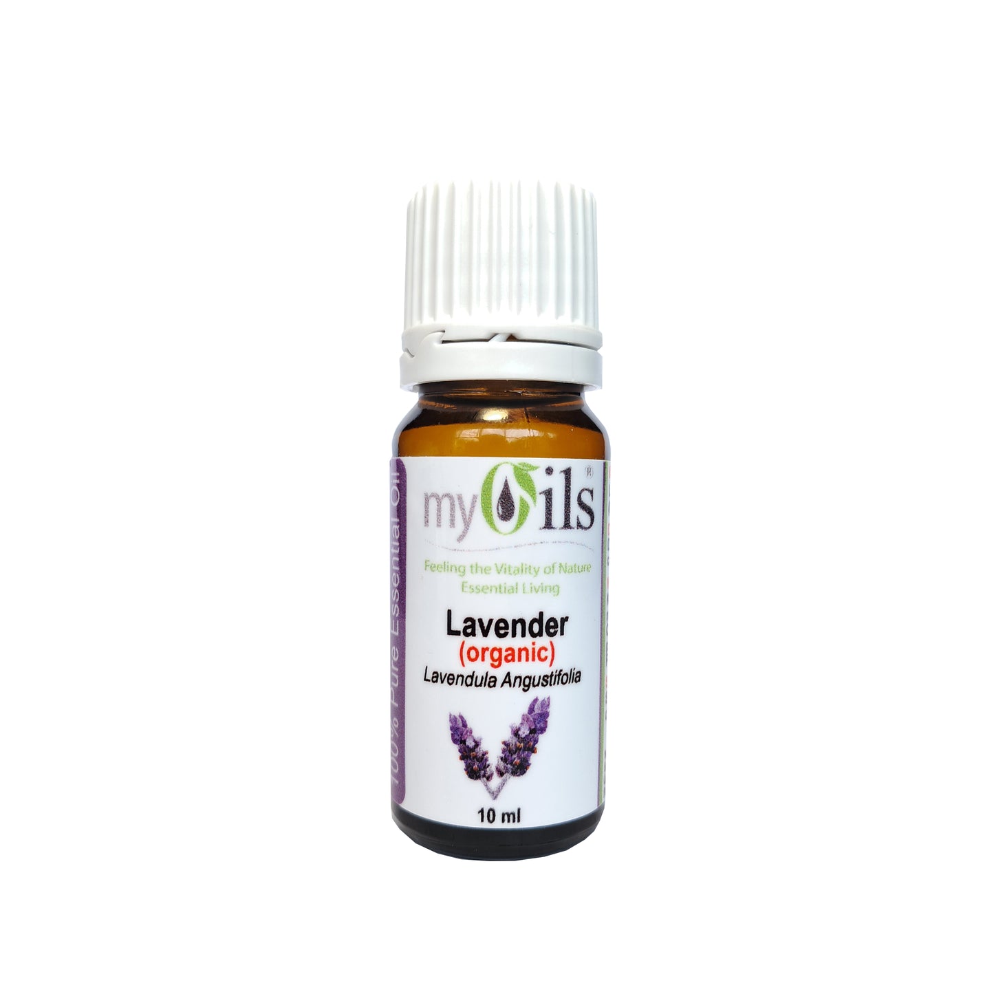 Lavender (Organic) Essential Oil - 10ml