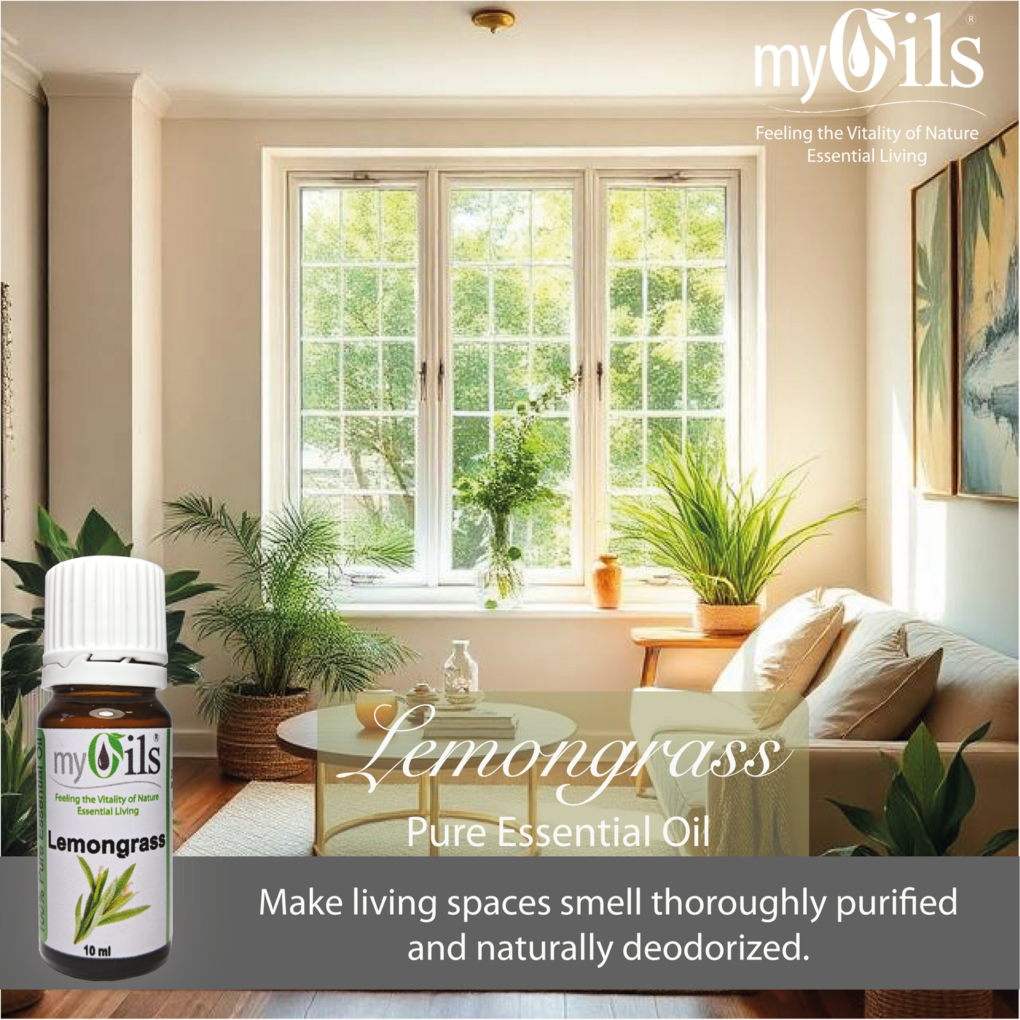 Lemongrass Essential Oil - 10 ml