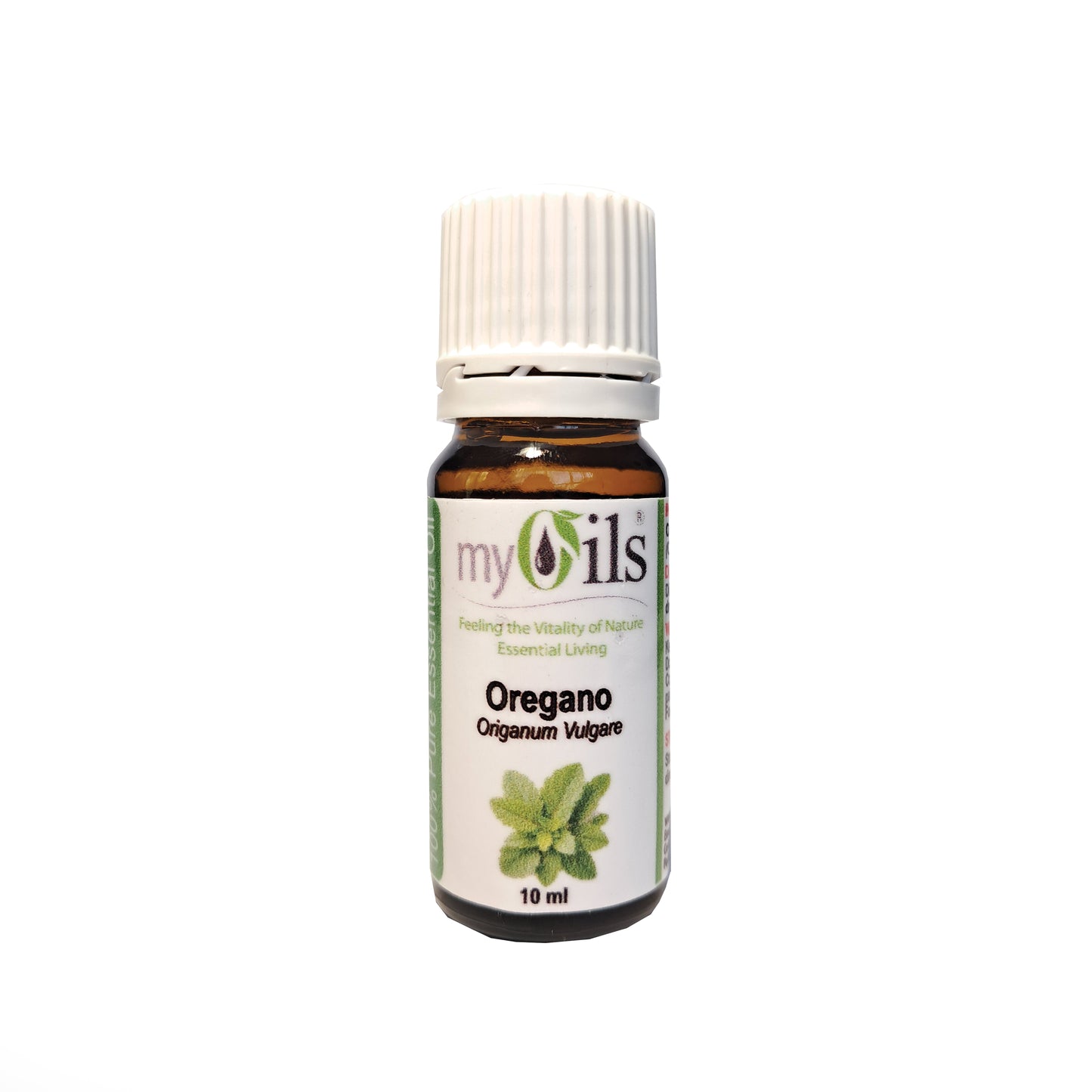 Origanum Essential Oil - 10ml