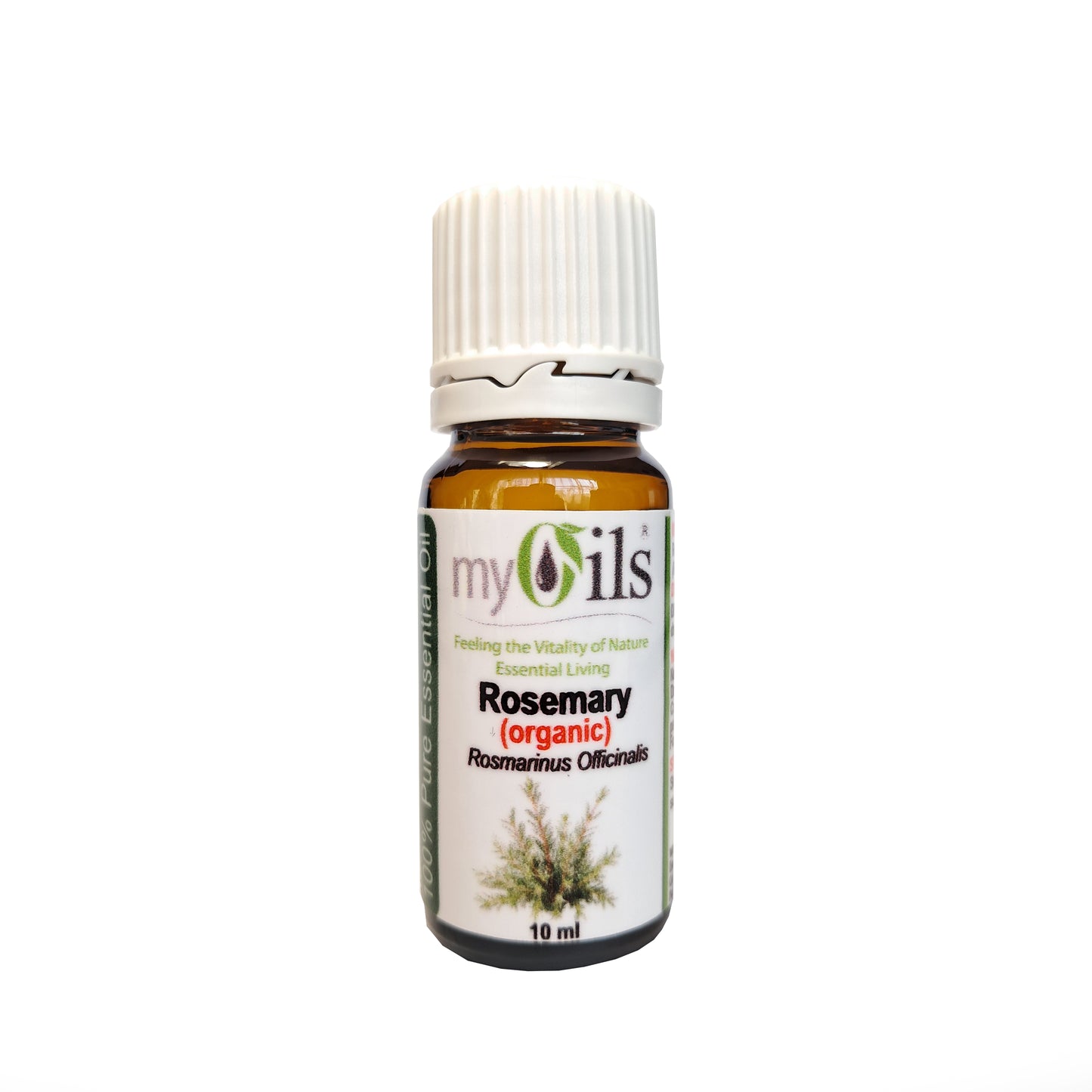 Rosemary (Organic) Essential Oil - 10ml