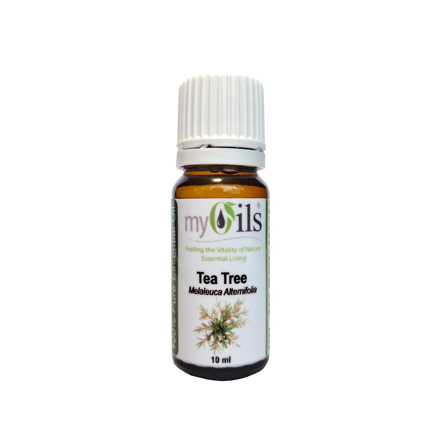 Tea Tree Essential Oil - 10ml