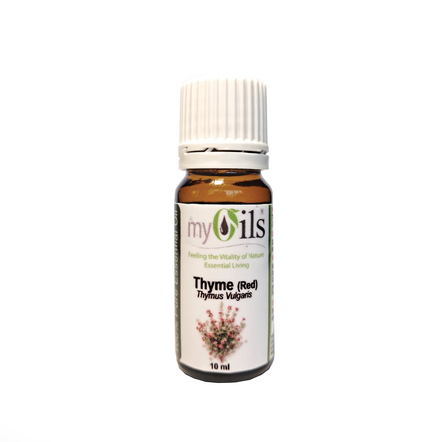 Thyme Essential Oil - 10ml