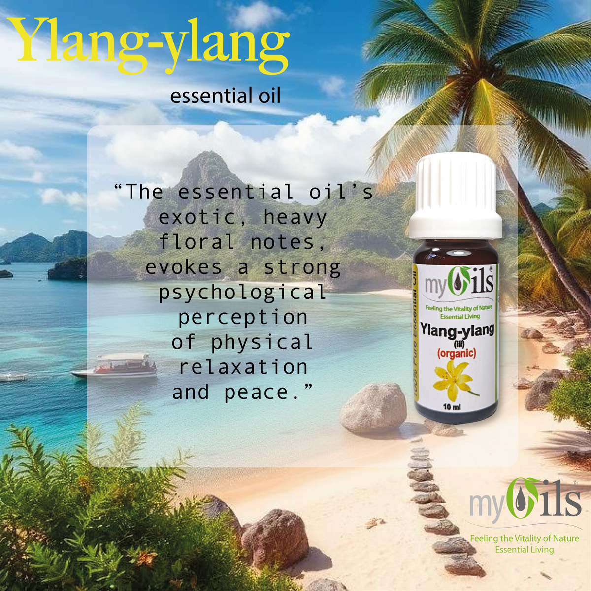 Ylang Ylang (iii) (Organic) Essential Oil - 10ml