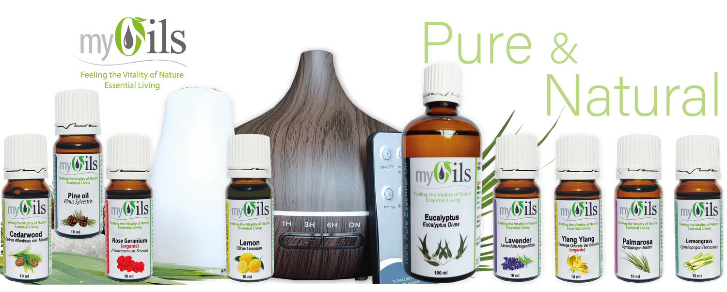 🍃 All Products