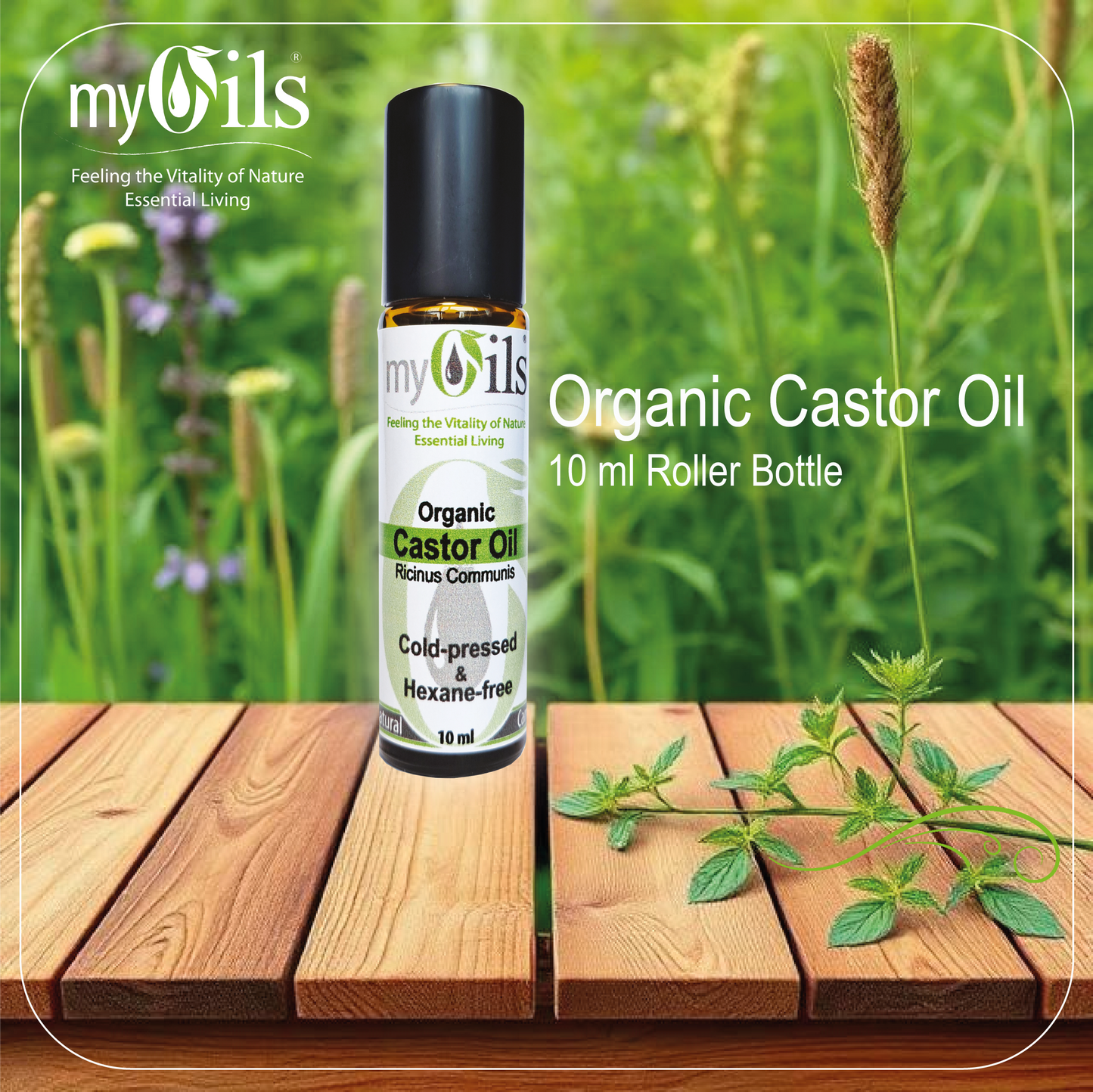 Castor (Organic) Hexane Free Roller Glass Bottle - 10ml