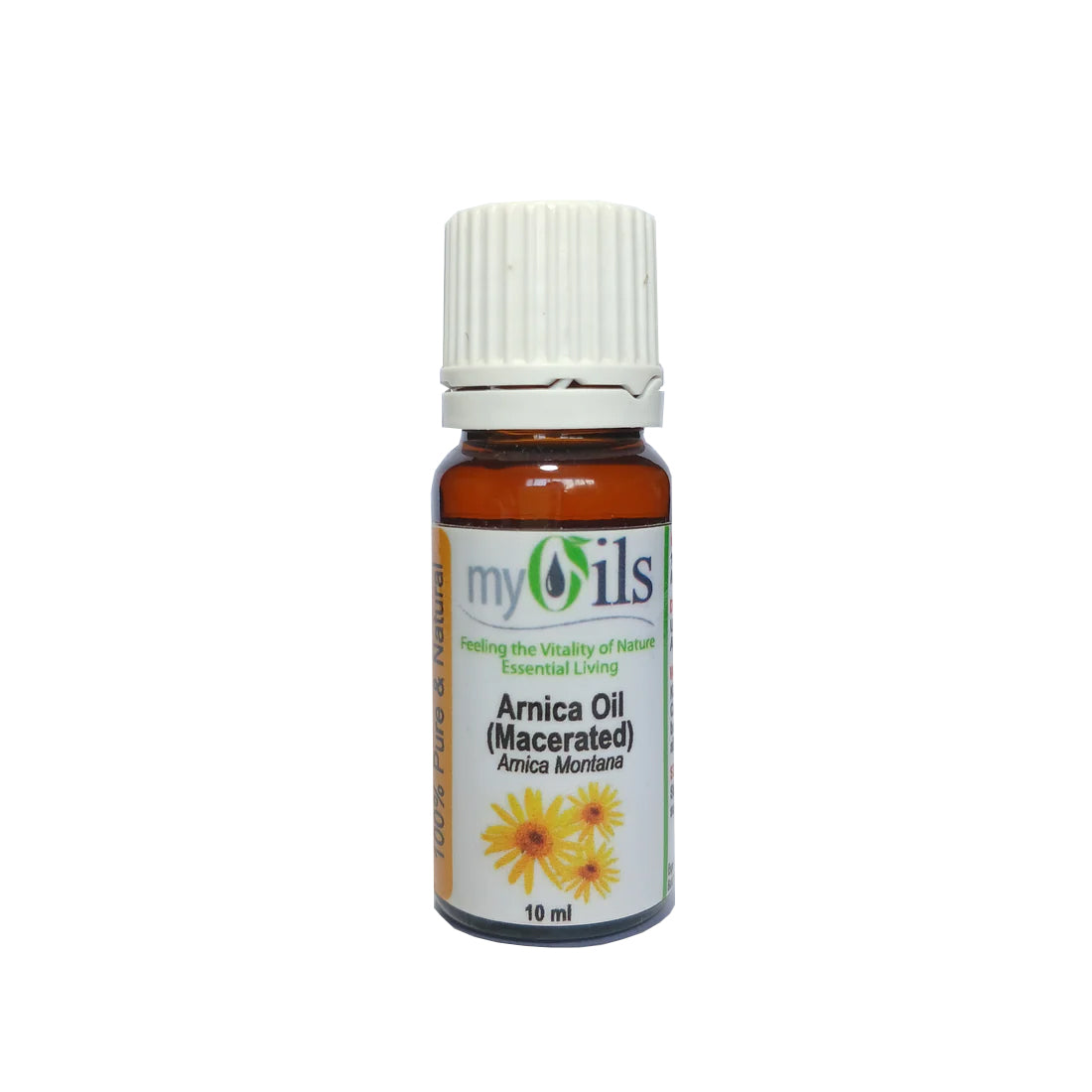 Arnica (Macerated) Carrier Oil - 10ml