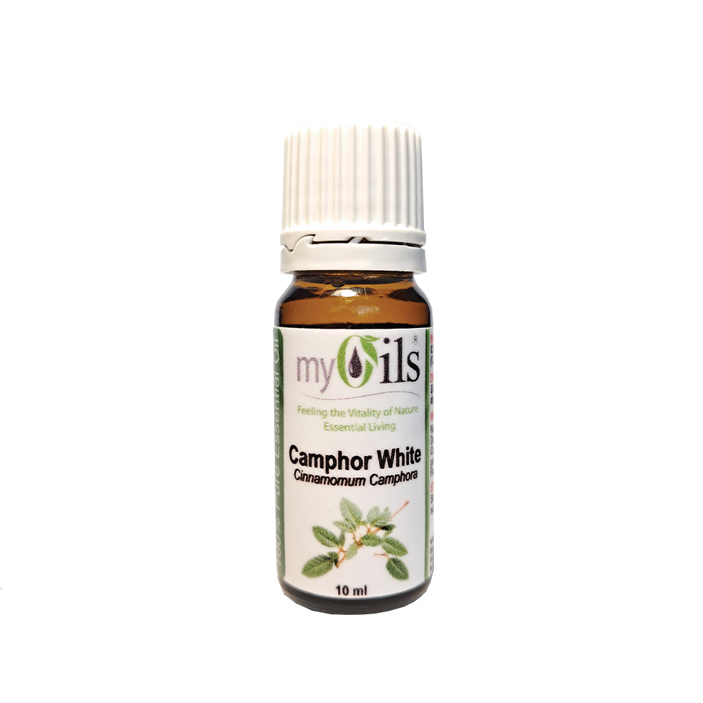 Camphor White Essential Oil - 10ml