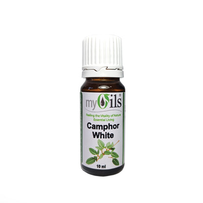 Camphor White Essential Oil - 10ml