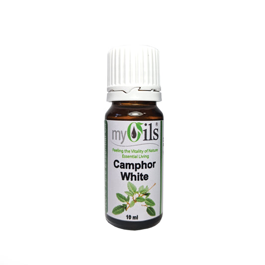 Camphor White Essential Oil - 10ml