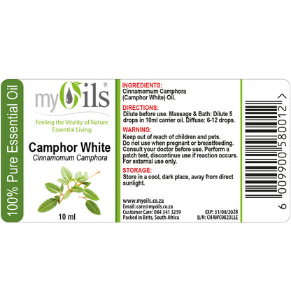 Camphor White Essential Oil - 10ml