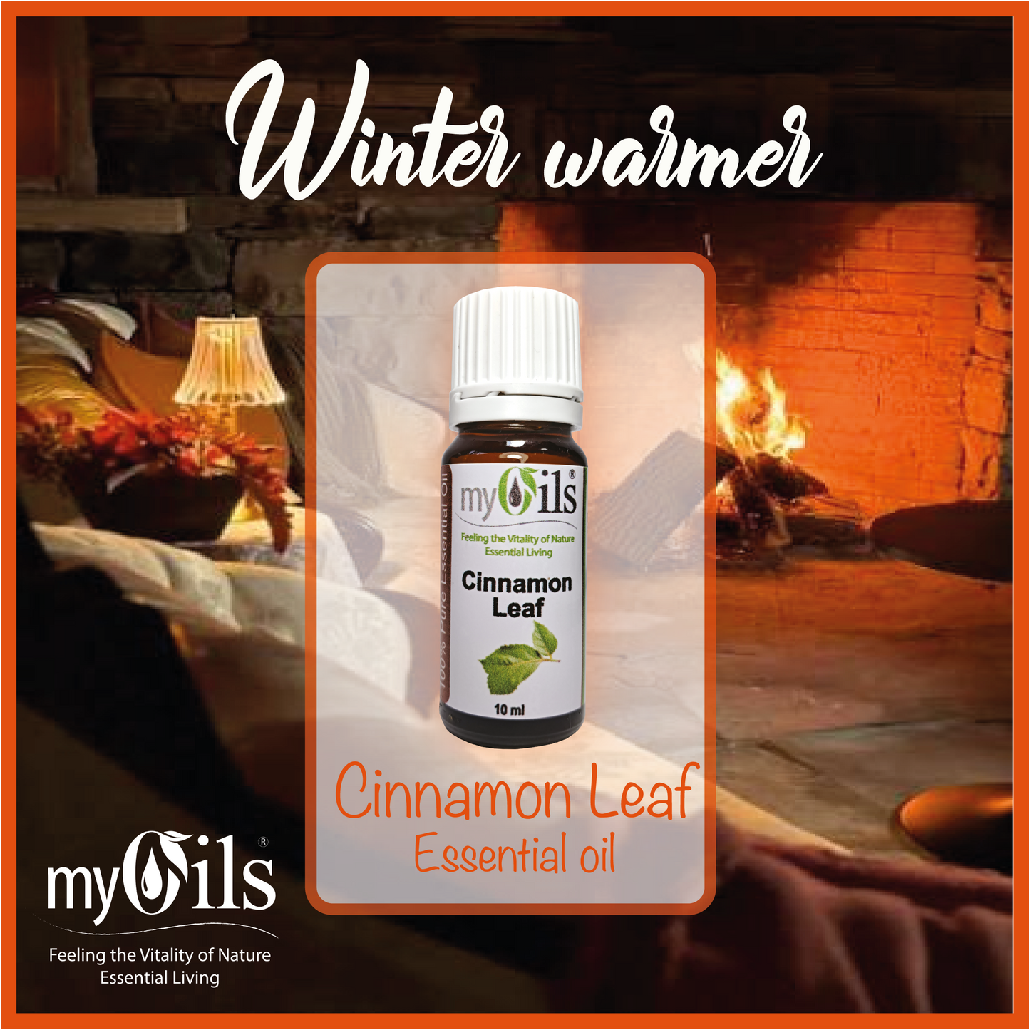 Cinnamon Leaf Essential Oil - 10ml