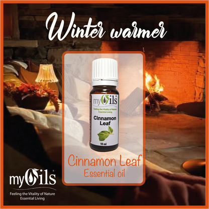 Cinnamon Leaf Essential Oil - 10ml