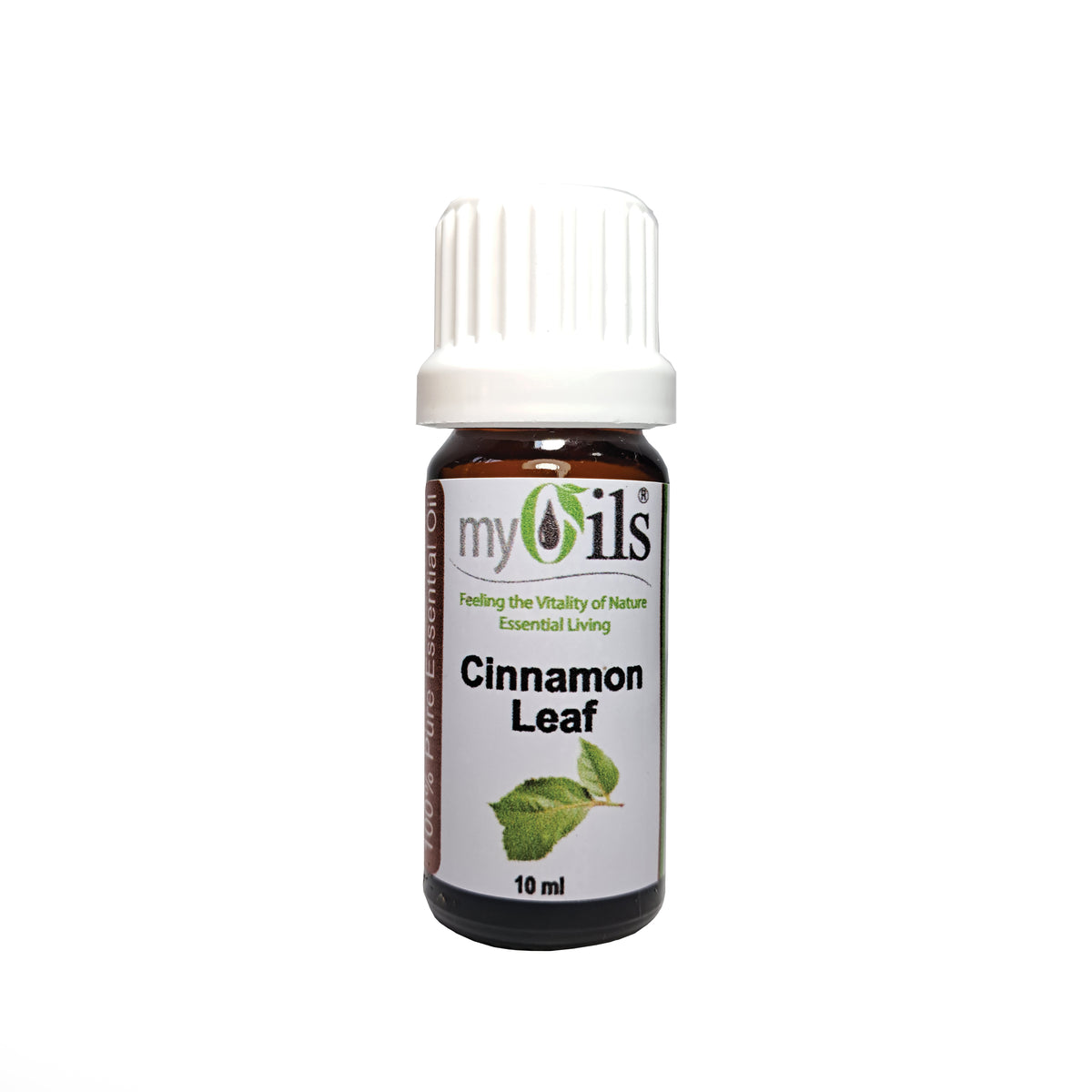 Cinnamon Leaf Essential Oil - 10ml