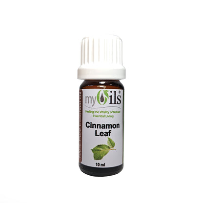 Cinnamon Leaf Essential Oil - 10ml