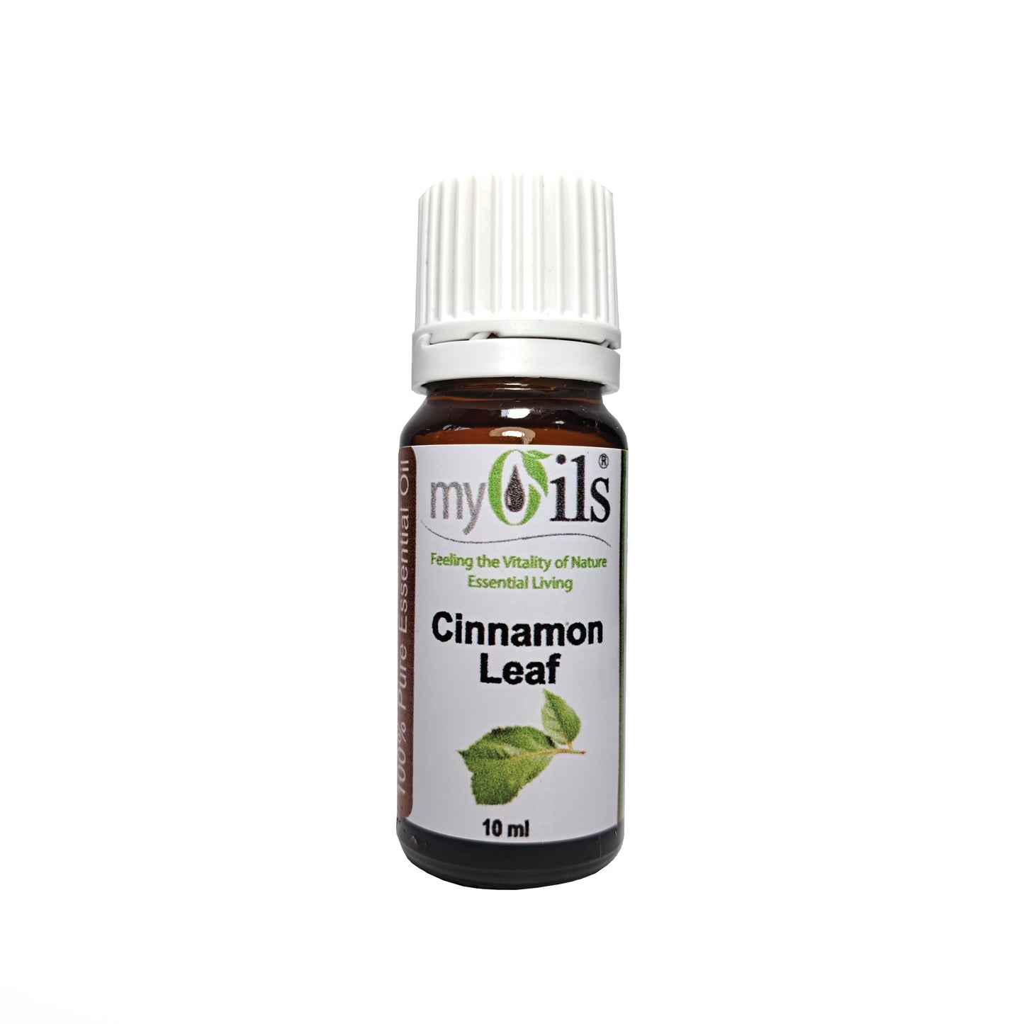 Cinnamon Leaf Essential Oil - 10ml