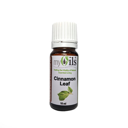 Cinnamon Leaf Essential Oil - 10ml
