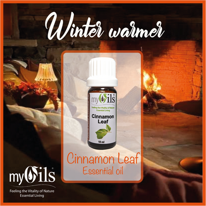Cinnamon Leaf Essential Oil - 10ml