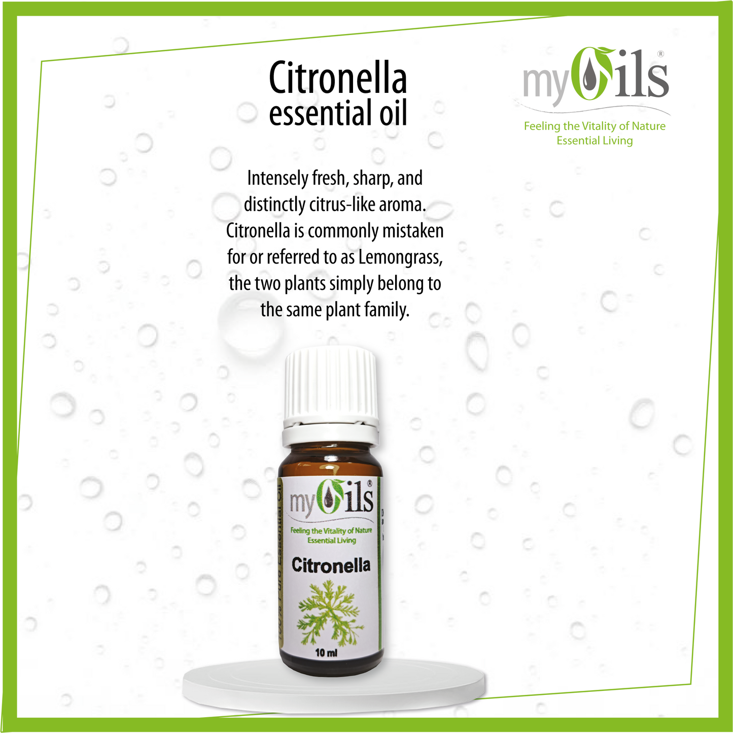 Citronella Essential Oil - 10ml