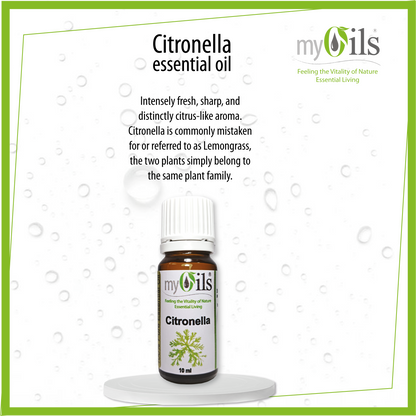Citronella Essential Oil - 10ml