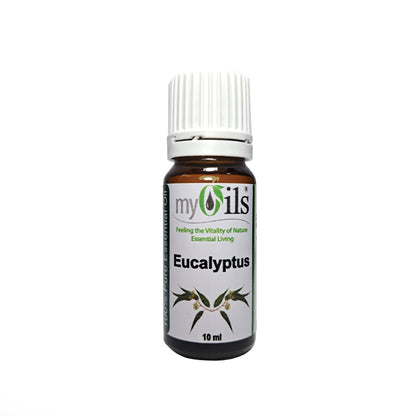 Eucalyptus Essential Oil - 10ml