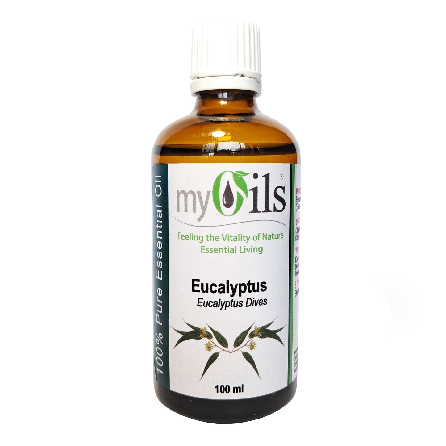 Eucalyptus Dives Essential Oil - 100ml