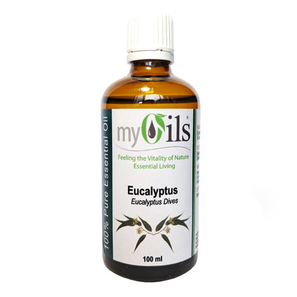 Eucalyptus Dives Essential Oil - 100ml
