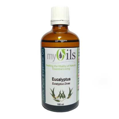 Eucalyptus Dives Essential Oil - 100ml