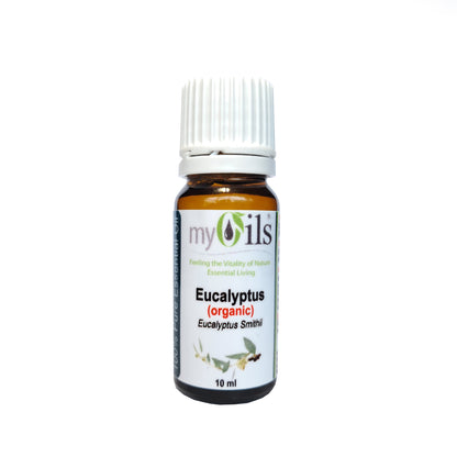 Eucalyptus Smithii (Organic) Essential Oil - 10ml