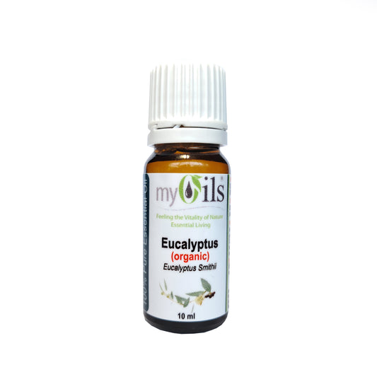Eucalyptus Smithii (Organic) Essential Oil - 10ml