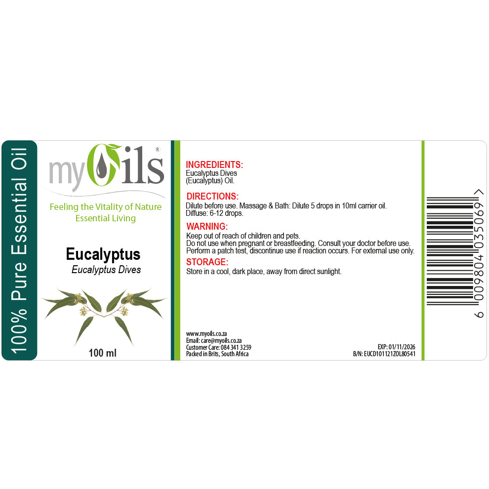 Eucalyptus Dives Essential Oil - 100ml