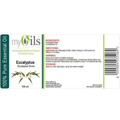Eucalyptus Dives Essential Oil - 100ml