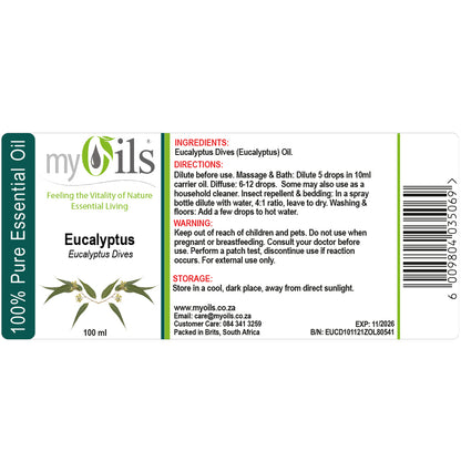 Eucalyptus Dives Essential Oil - 100ml