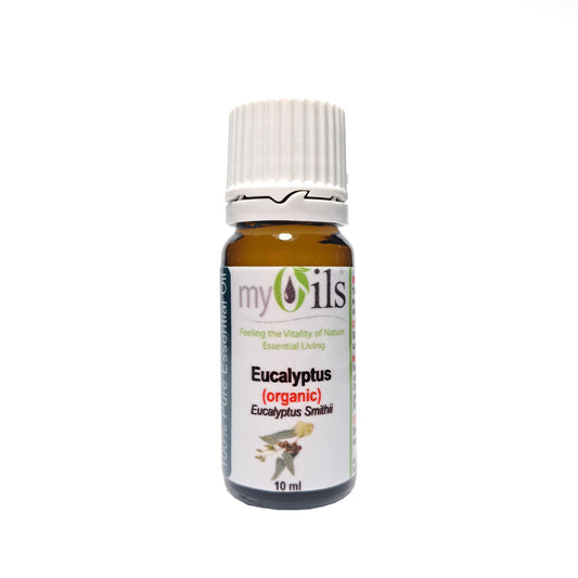 Eucalyptus Smithii (Organic) Essential Oil - 10ml