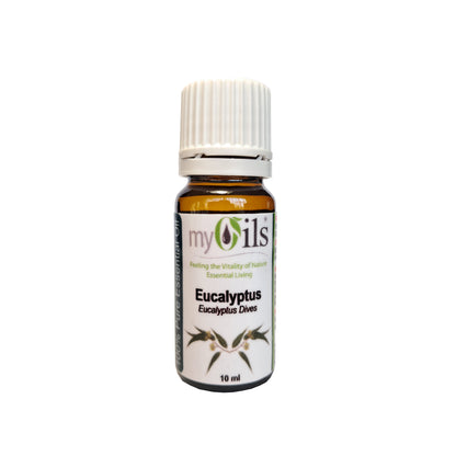Eucalyptus Dives Essential Oil - 10ml