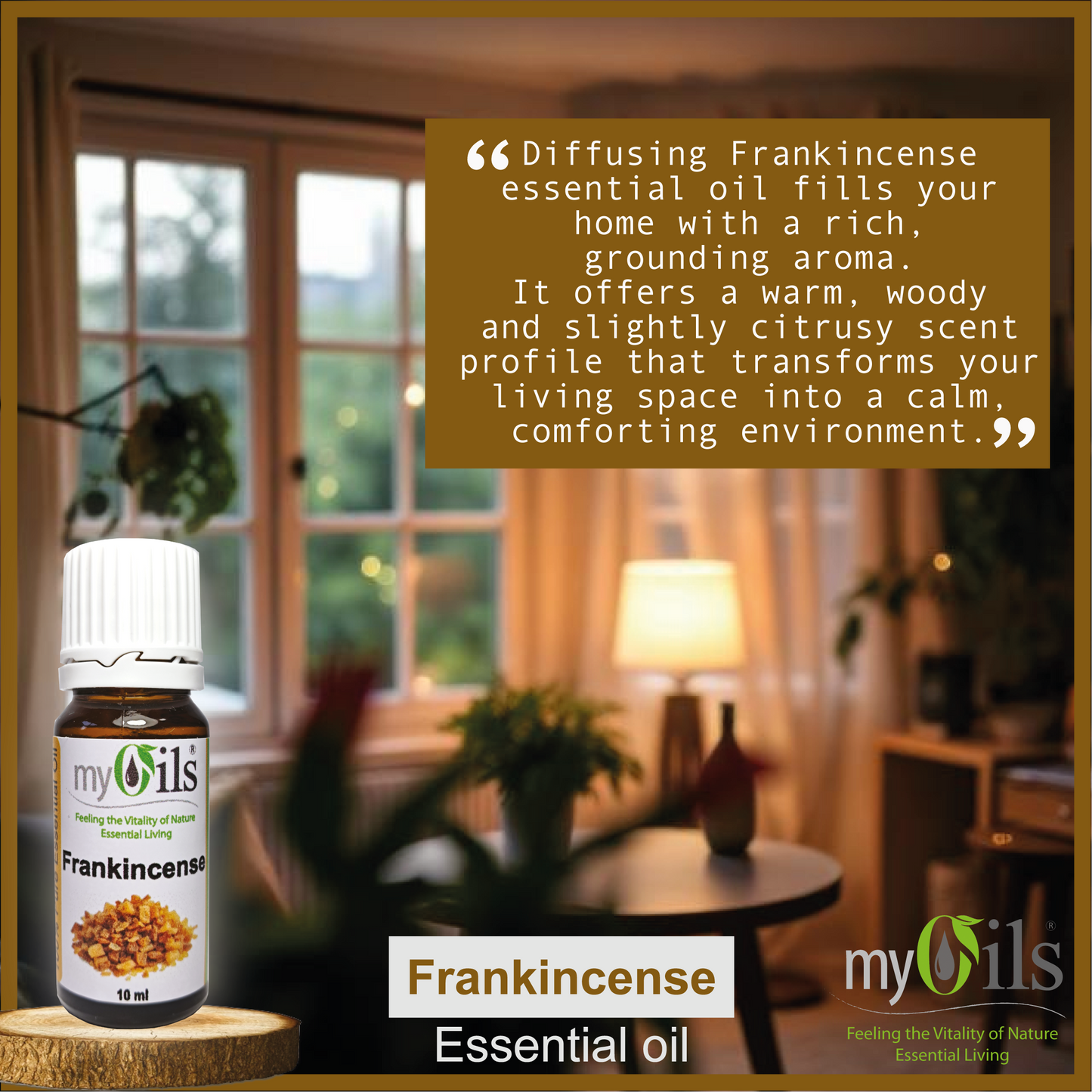 Frankincense Serrata Essential Oil - 10ml