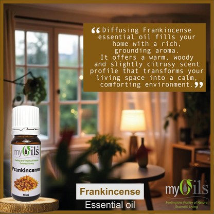 Frankincense Serrata Essential Oil - 10ml