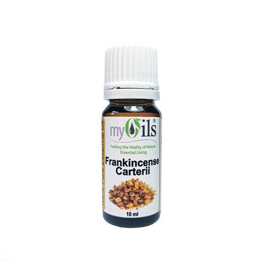 Frankincense Carterii Essential Oil - 10ml
