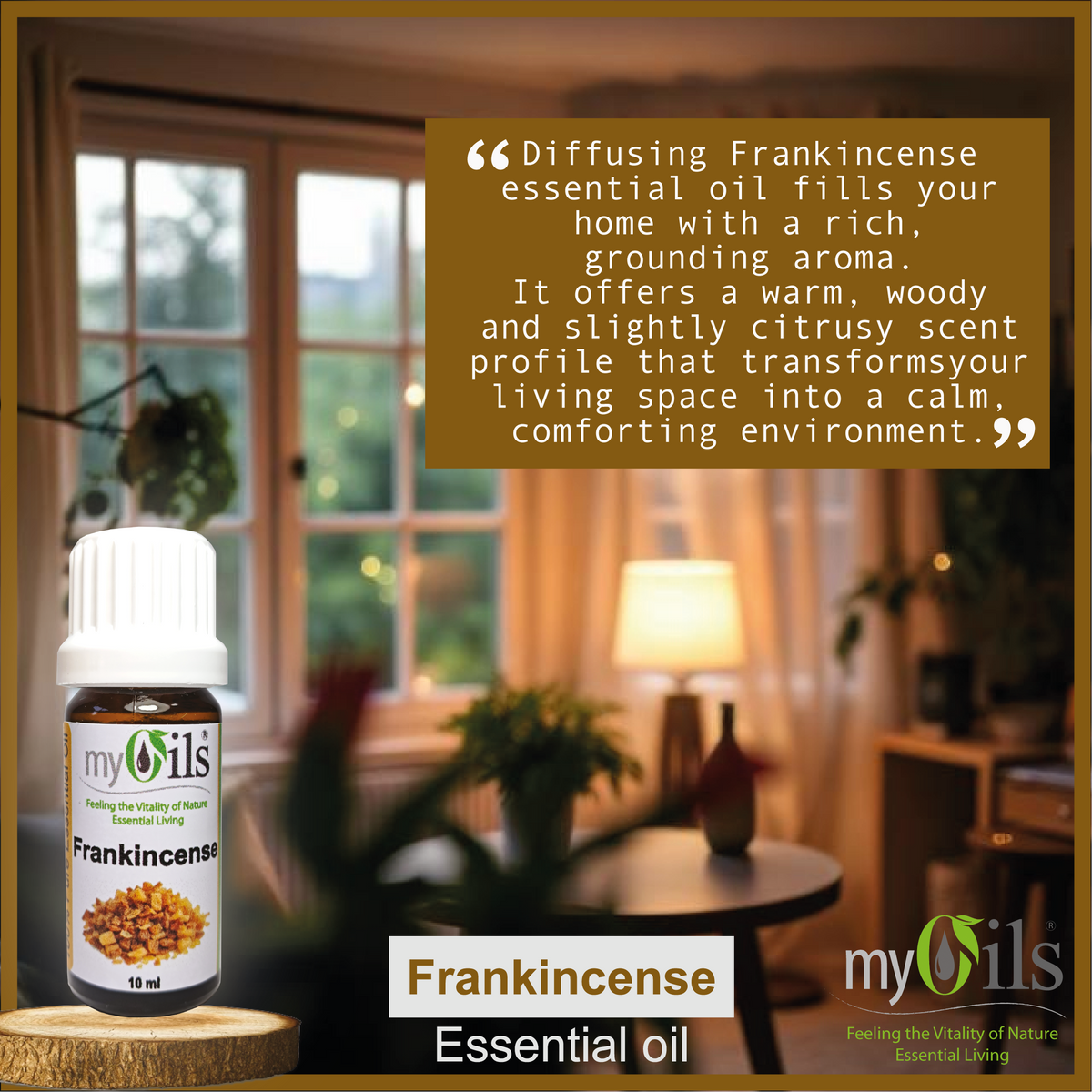 Frankincense Serrata Essential Oil - 10ml