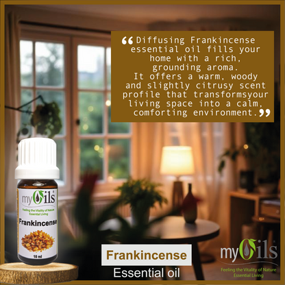 Frankincense Serrata Essential Oil - 10ml